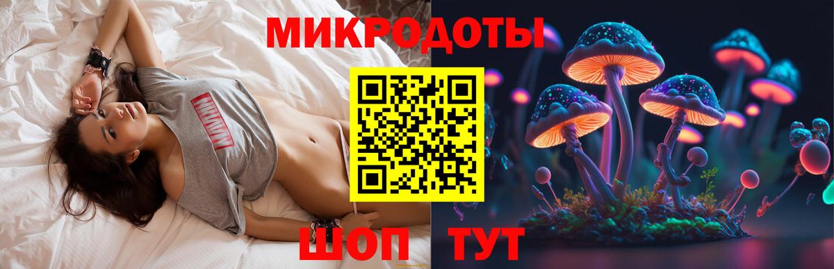 Галлюциногенные грибы Psilocybe  Вход с VPN  Выкса 
